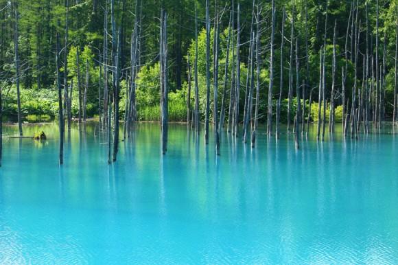 Chiêm ngưỡng hồ xanh (Blue Pond) Nhật Bản nổi tiếng