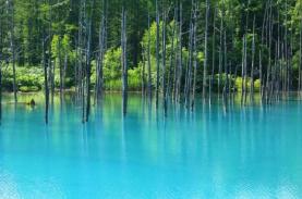 Chiêm ngưỡng hồ xanh (Blue Pond) Nhật Bản nổi tiếng